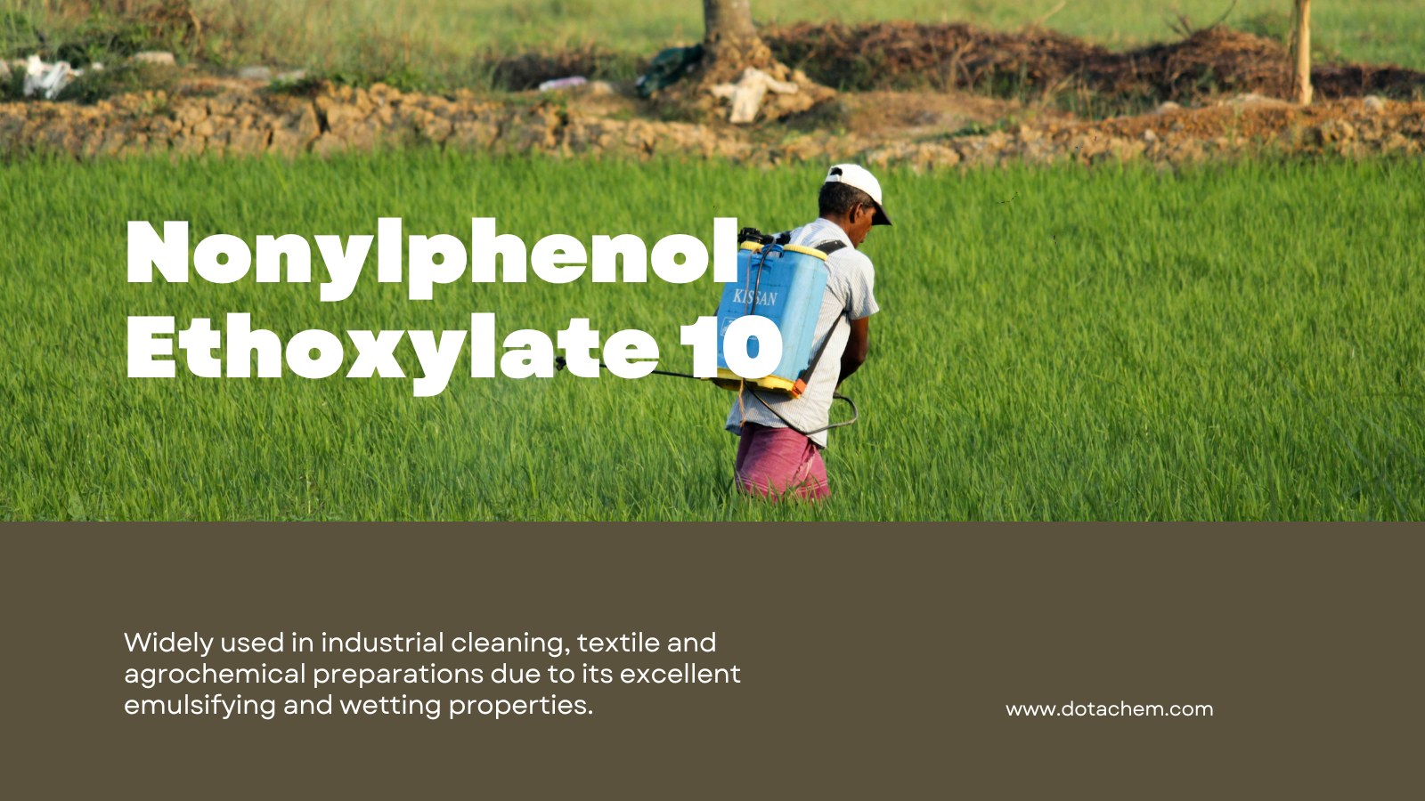 Dotachem International Supply | คู่มือ NPE10 Professional: คุณสมบัติแอปพลิเคชันและโซลูชั่นระดับโลก